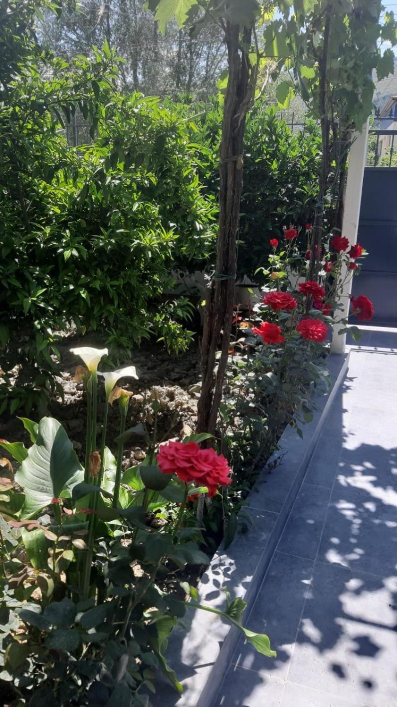 Guest House Emi Berat Esterno foto